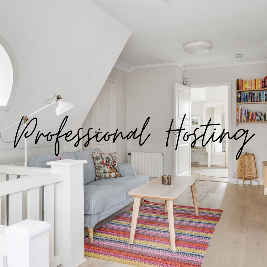 Airbnb professional hosting