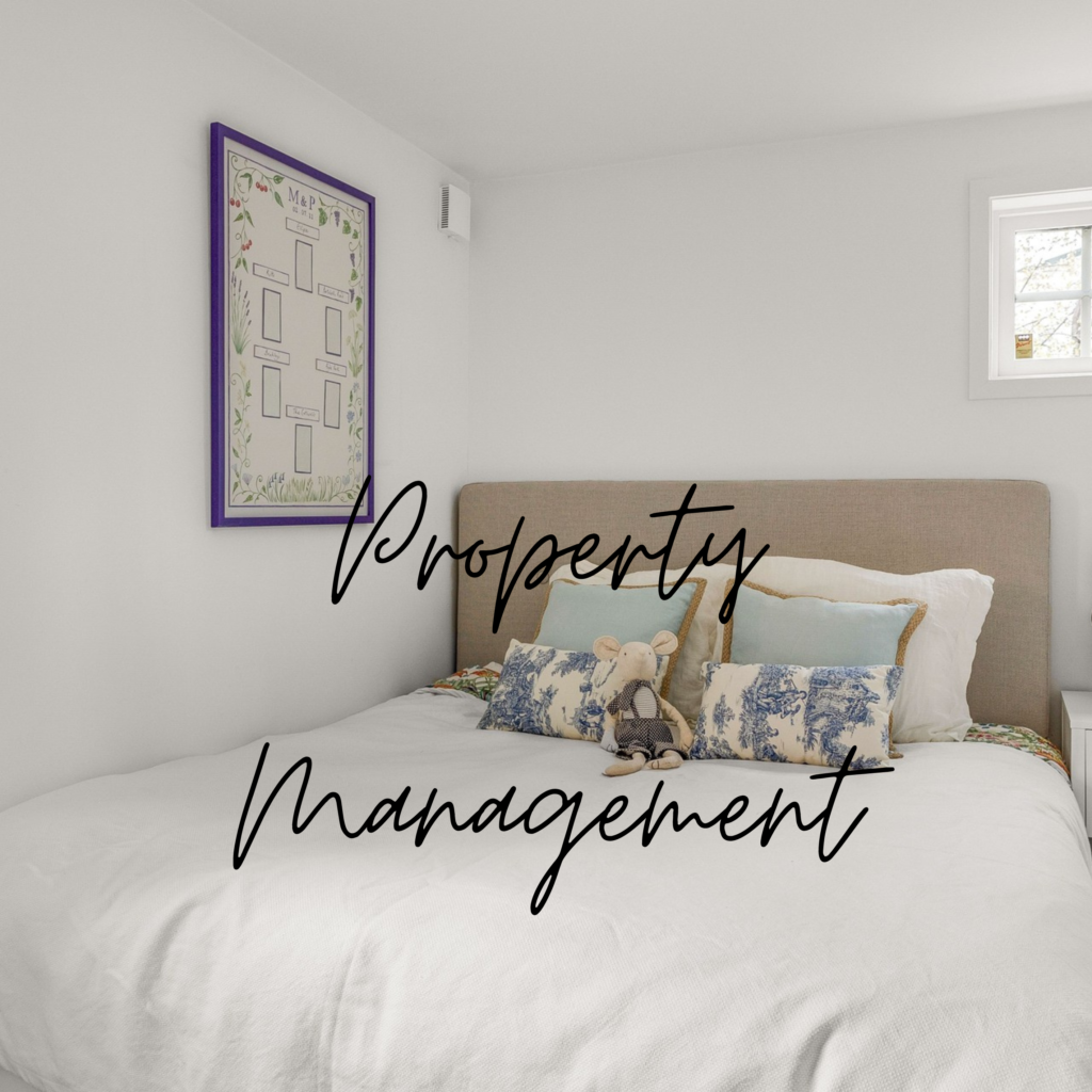 Airbnb professional hosting
